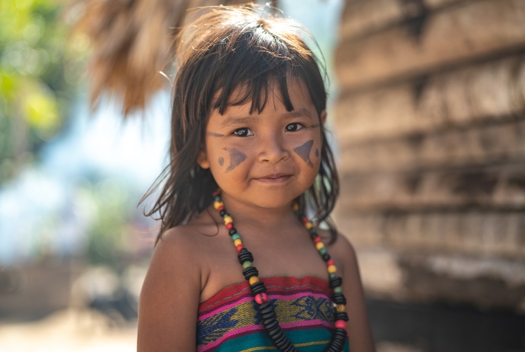 20220808231926 indi gena tupi capa