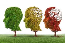 alzheimer2