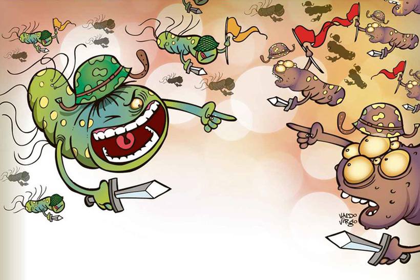bacterias1