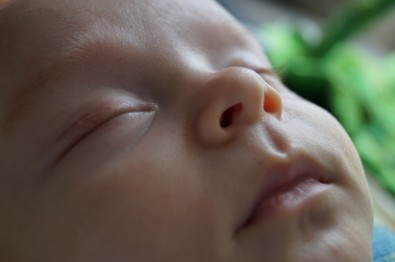 bebe