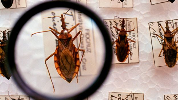 chagas