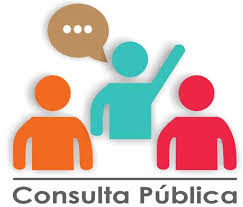 consultapublica2