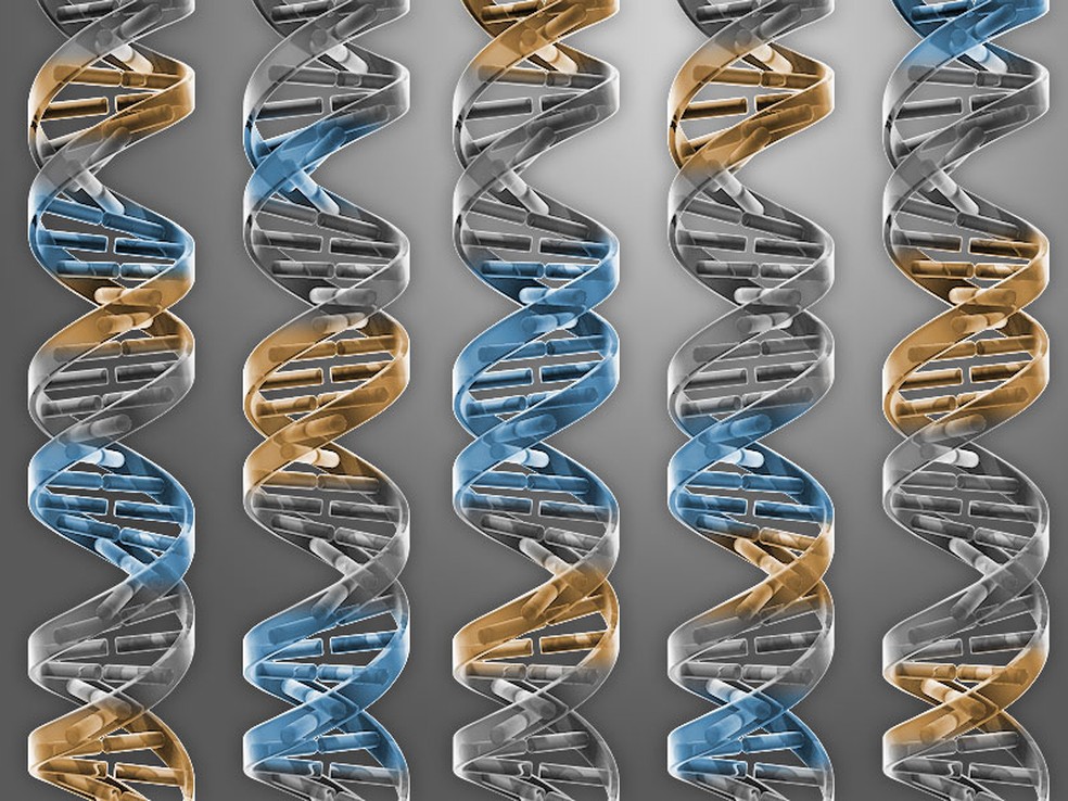 crispr1