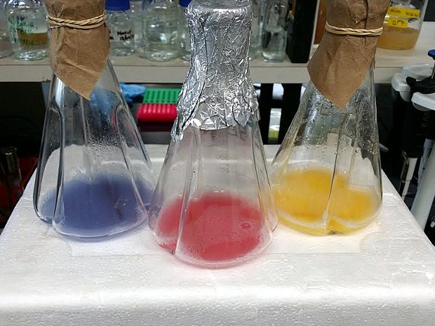 experimento