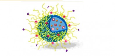 glioblastoma