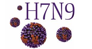 h7n9
