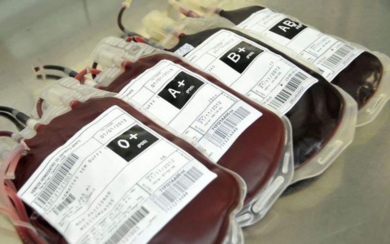 hemoterapia