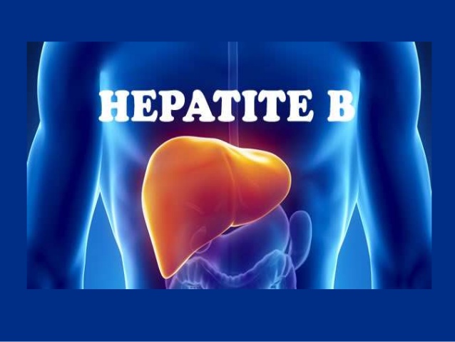 hepatite b 1 638