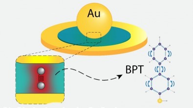 nanoparticiula