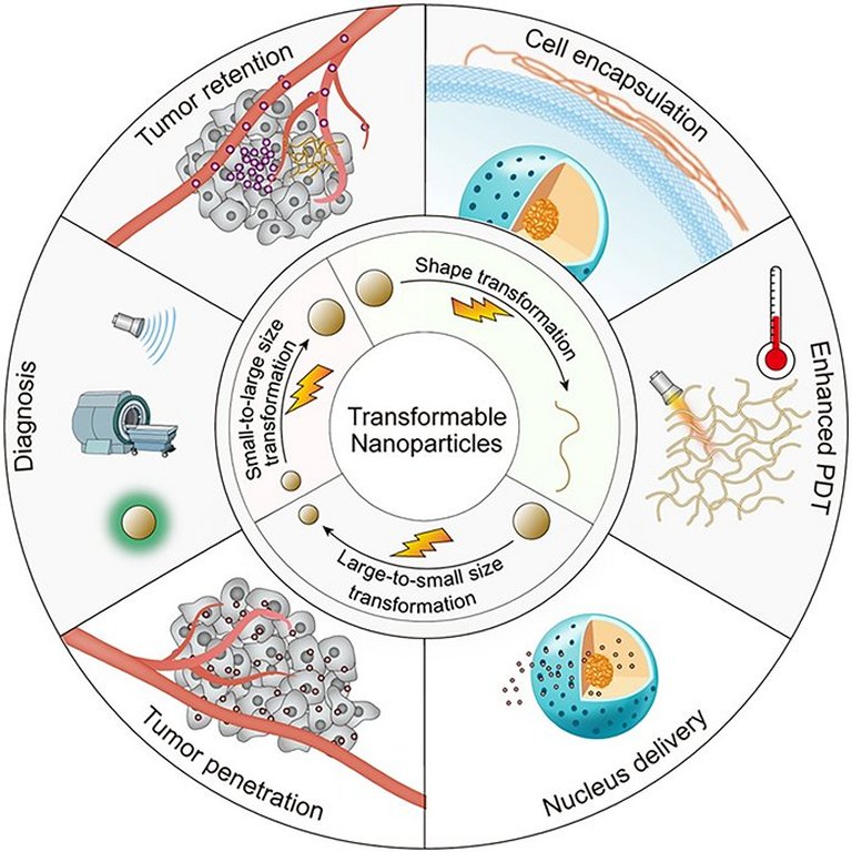 nanoparticulas transformaveis