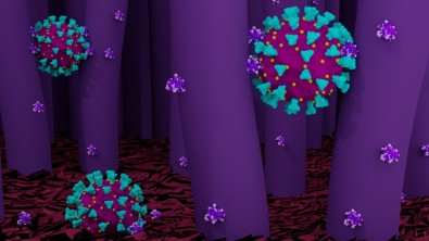 nanoparticulas