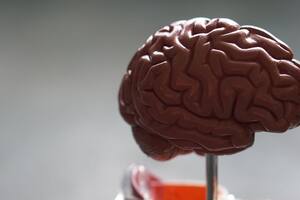 neuronio