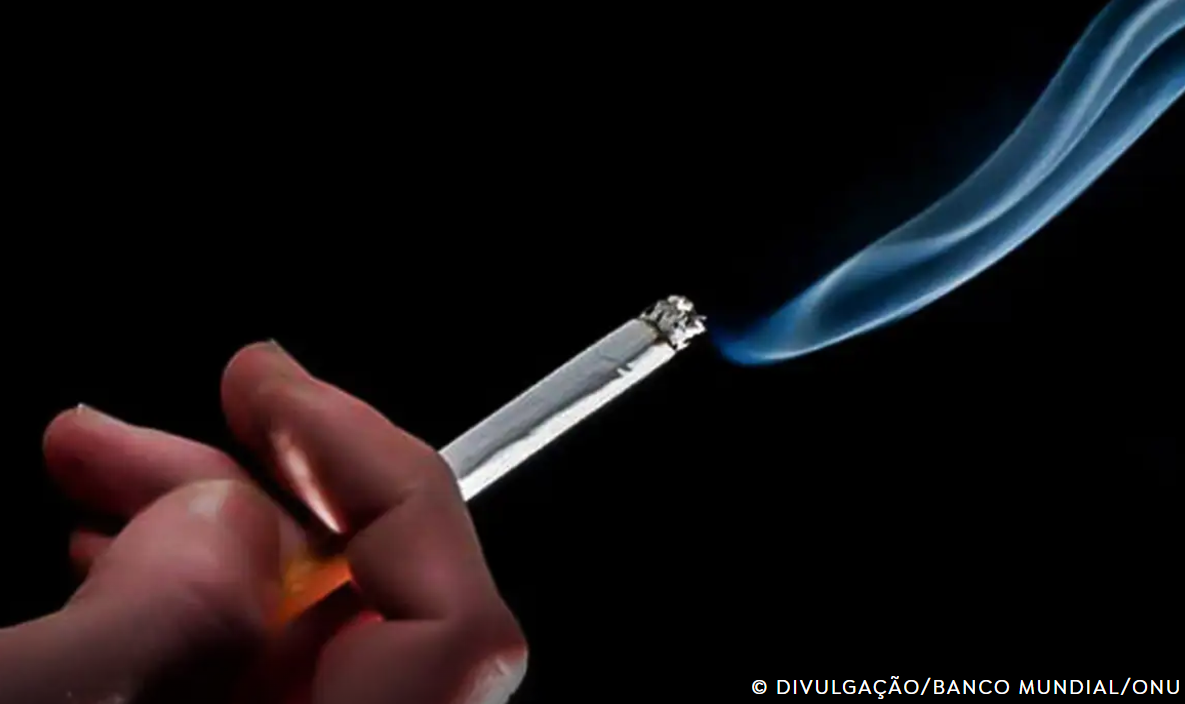 Captura de tela 2024 11 28 080444