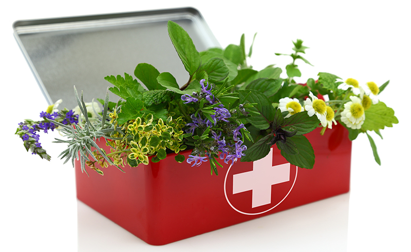 plantasmedicinais