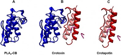 plosone