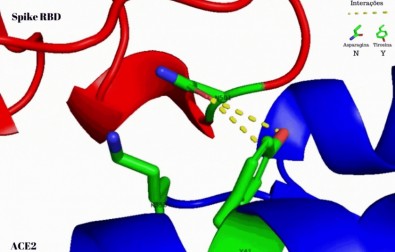 proteinaspike