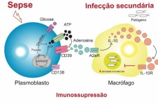 sepse1