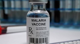 Malária: Anvisa autoriza teste em humanos de vacina 100% brasileira