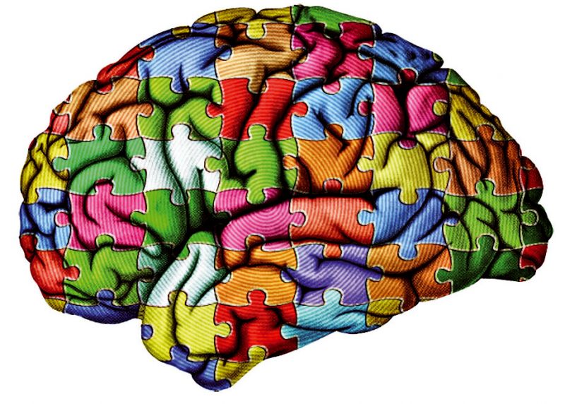 cerebral