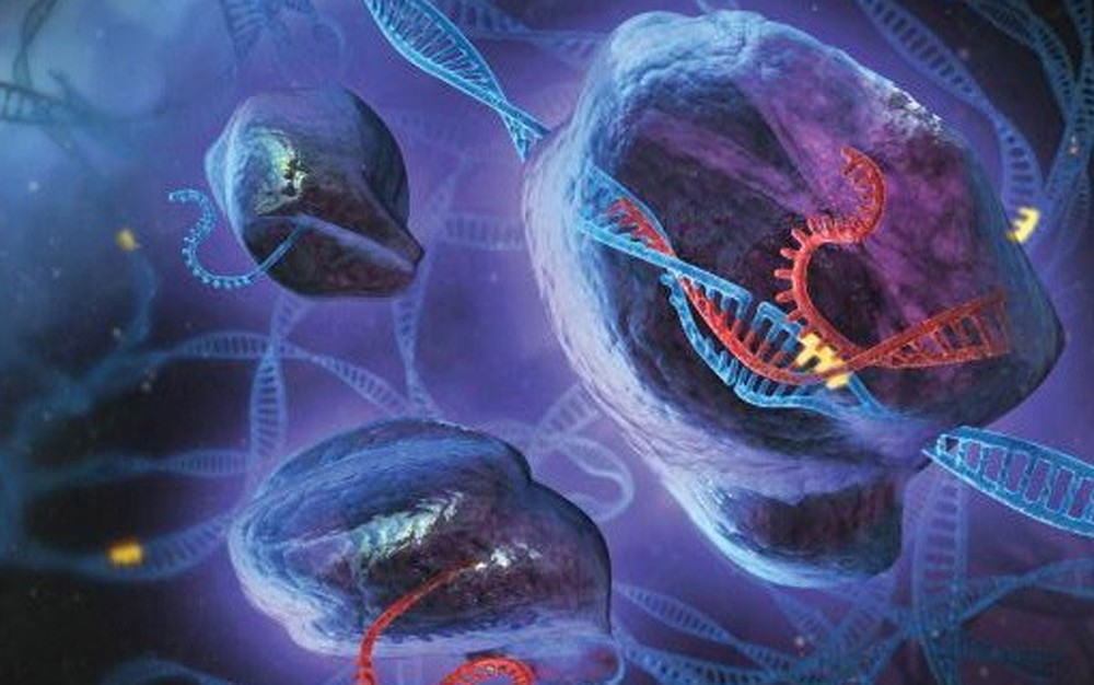 crispr