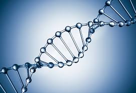 dnA