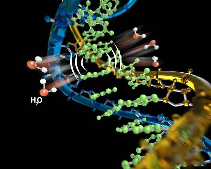 dna1