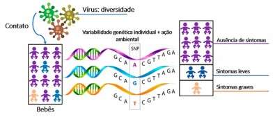 fatoresgeneticos