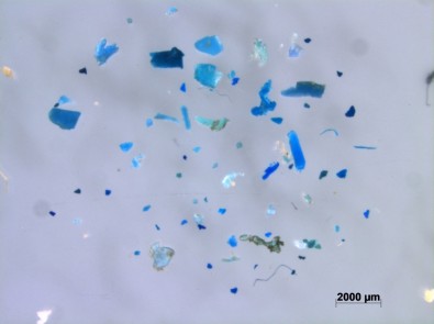 microplastico