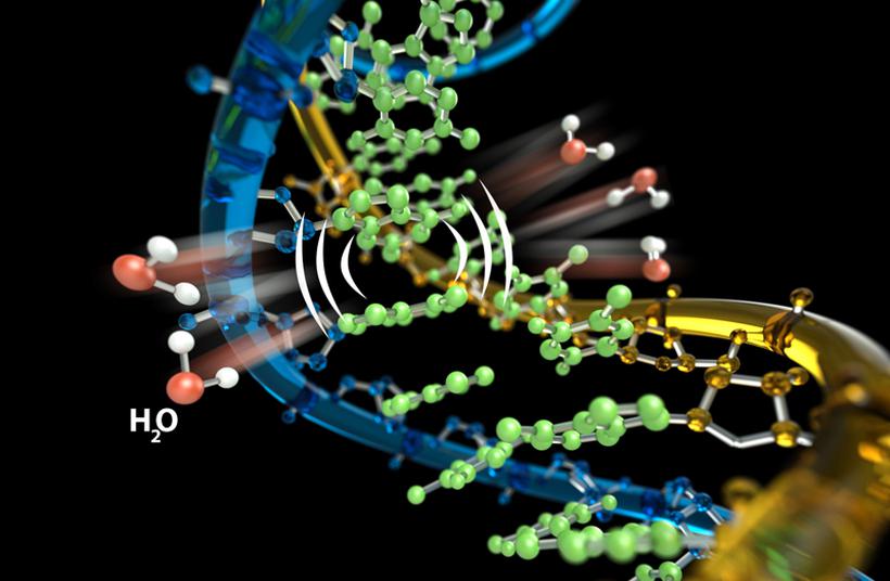 moleculadna