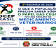 2ª Reunião do Focep - dia 15 de junho